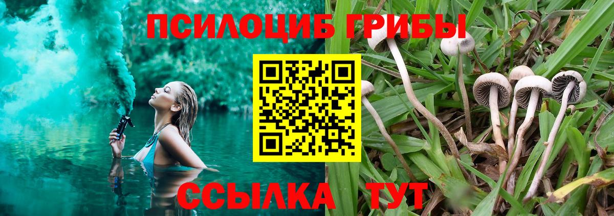 Псилоцибиновые грибы Magic Shrooms  Вход с VPN  Красноярск 